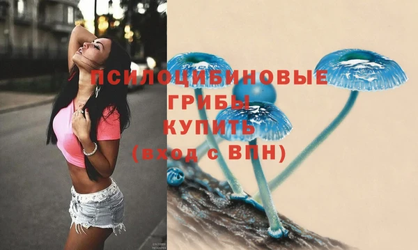 ALPHA PVP Богданович