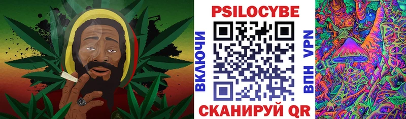 Псилоцибиновые грибы мицелий  Боготол 